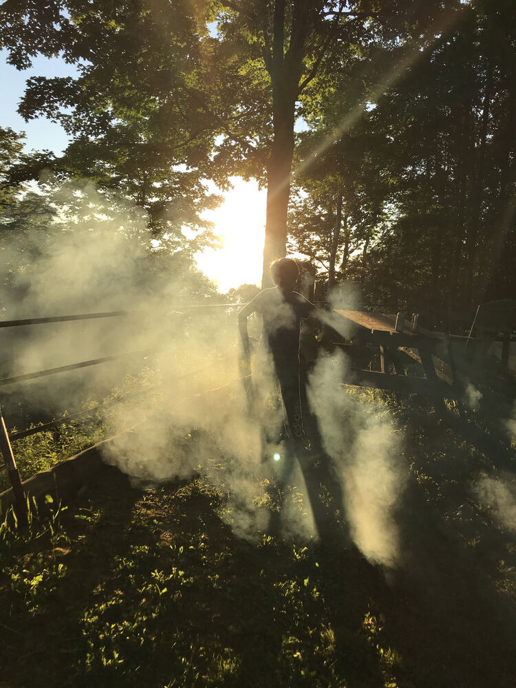A figure standing in dense woodsmoke at a fence line, backlit by the setting sun through trees so that the smoke becomes a solid volume of light.