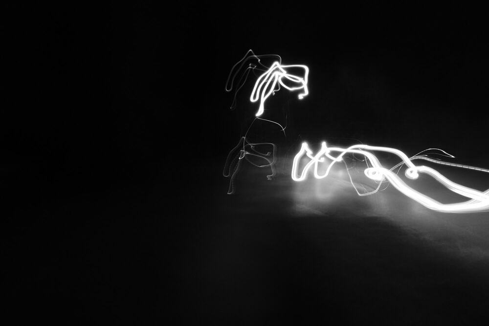 Loops and knots of white light traced across a black field, the record of a light source moving relative to the camera during a long exposure.